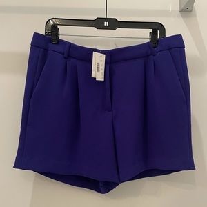 NWT / J. Crew Shorts / Size: 12